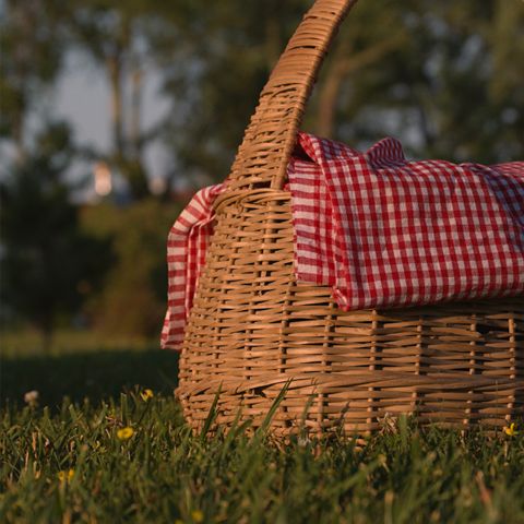 Picnic backpack for two