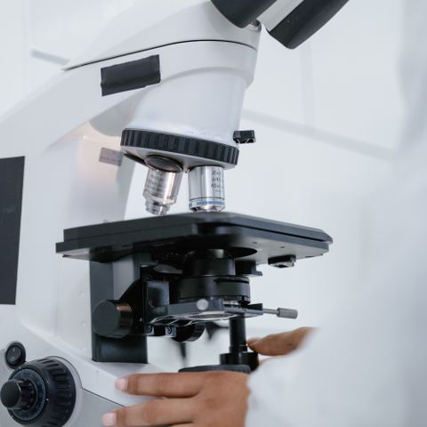 Beginner microscope kit