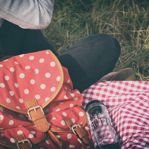 Picnic backpack for two
