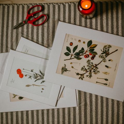 Birth flower family bouquet print