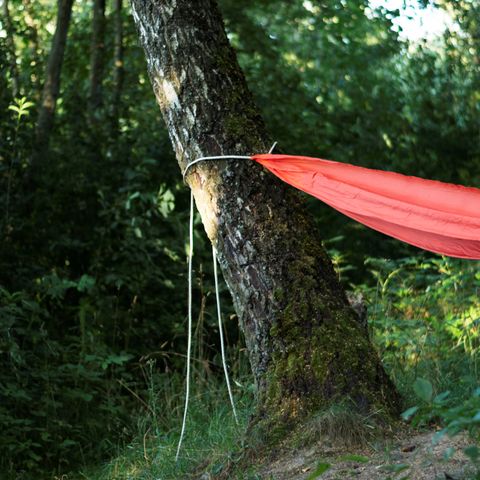 Camping hammock with tree straps