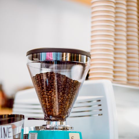 Conical burr coffee grinder