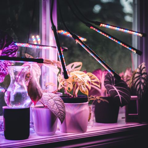 Full-spectrum LED grow light