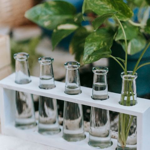 Wall-mounted propagation station