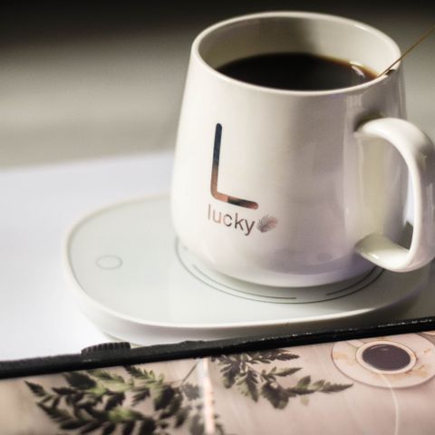 Electric mug warmer