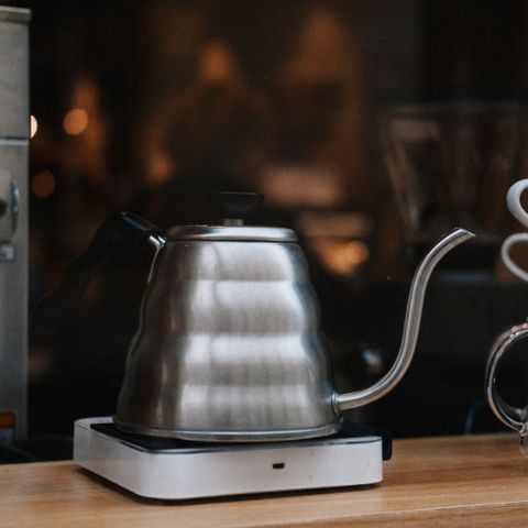 Gooseneck electric kettle